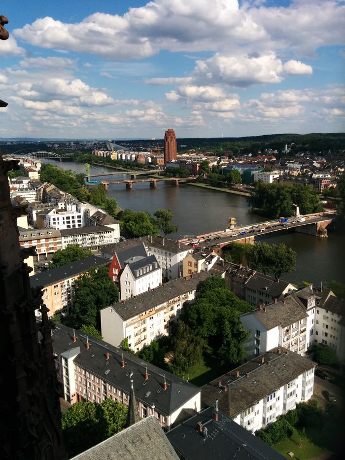 view from the Dom tower
