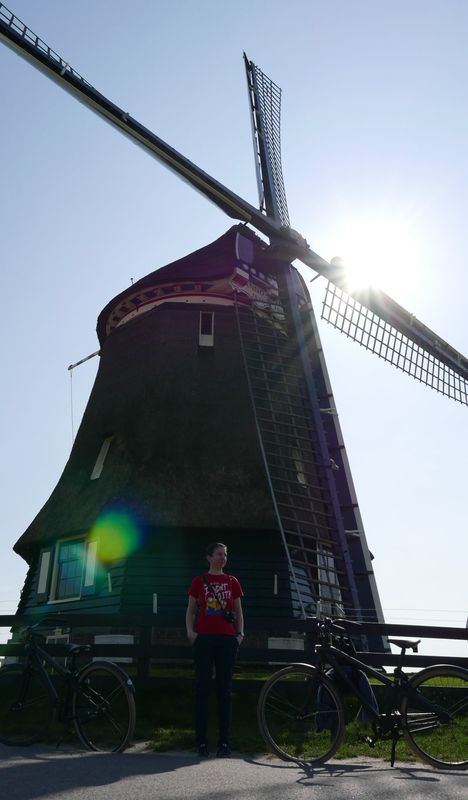 Windmill in Volendam